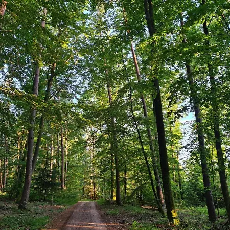 Le Aura Et Jacuzzi Domek alpejski *