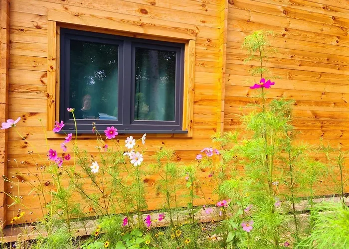 Domek alpejski Le Aura Et Jacuzzi Abreschviller