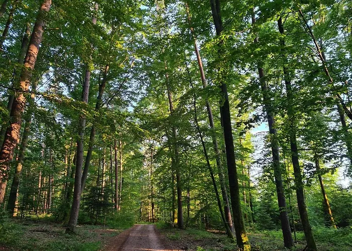 Le Aura Et Jacuzzi Domek alpejski *