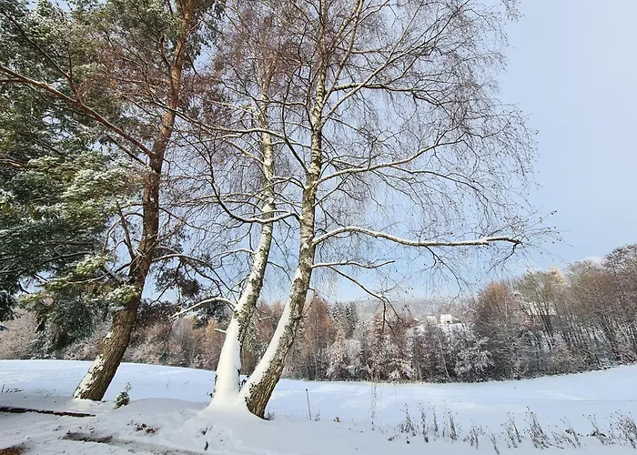 Domek alpejski Le Aura Et Jacuzzi *
