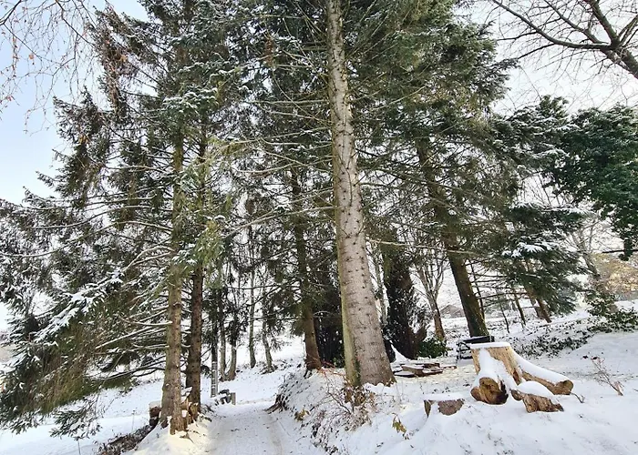 Domek alpejski Le Aura Et Jacuzzi *