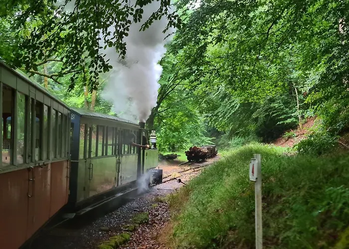 Le Aura Et Jacuzzi Domek alpejski Abreschviller